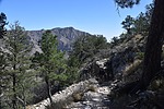 photo thumbnail #11