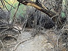 photo thumbnail #14