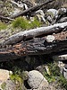 photo thumbnail #10