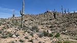 photo thumbnail #7