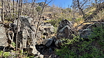 Featured Full Photo
