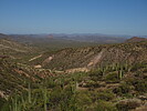 photo thumbnail #8