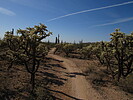 photo thumbnail #7