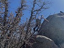 photo thumbnail #6