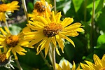 photo thumbnail #1