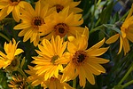 photo thumbnail #8