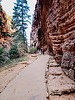 photo thumbnail #11