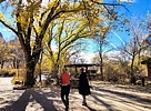 photo thumbnail #2