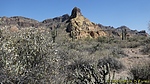 photo thumbnail #12