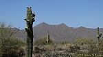 photo thumbnail #13