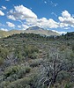 2025-04-27 :3: North Peak Loop :: 00blackout