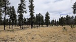 photo thumbnail #13