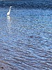 2025-04-28 :3: Lower Salt River - Blue Point to PhonD :: DesertNymph