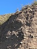 2025-04-28 :3: Lower Salt River - Blue Point to PhonD :: DesertNymph