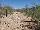 photo thumbnail #11