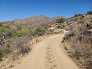 photo thumbnail #10