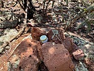 2025-04-29 :1: Maverick Hill :: kingsnake