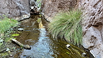 photo thumbnail #5