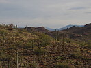 photo thumbnail #6