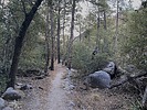 photo thumbnail #1