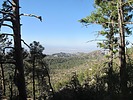 photo thumbnail #4