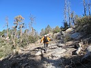 photo thumbnail #5