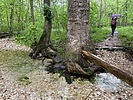 photo thumbnail #7