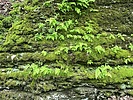 photo thumbnail #13