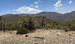 photo thumbnail #14