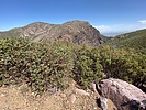 photo thumbnail #10