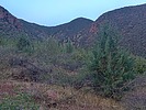 photo thumbnail #5