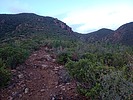 photo thumbnail #6