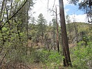 photo thumbnail #15