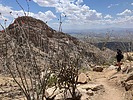 photo thumbnail #14