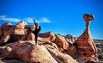 photo thumbnail #9