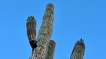 photo thumbnail #2