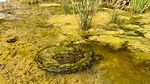 2025-05-07 :2: Battleship Mountain - Superstitions :: chumley