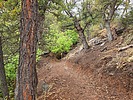 photo thumbnail #14