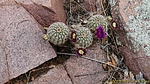 photo thumbnail #9