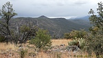 photo thumbnail #10