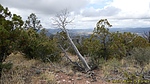 photo thumbnail #14