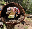 photo thumbnail #9