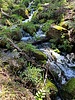 photo thumbnail #11