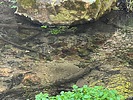 photo thumbnail #13