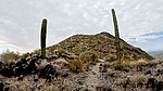 photo thumbnail #6