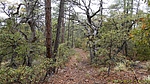 photo thumbnail #3