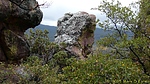 photo thumbnail #15