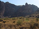 photo thumbnail #4