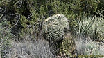 photo thumbnail #4