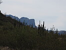 photo thumbnail #10